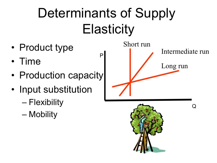 Determinants Of Price Elasticity Of Supply With Examples