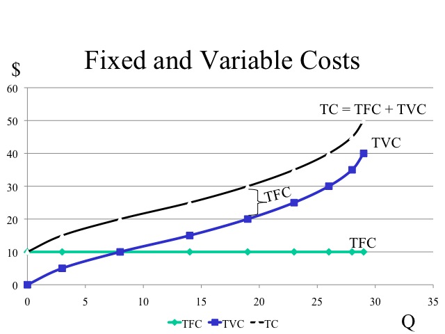 Fixed and Variable Costs