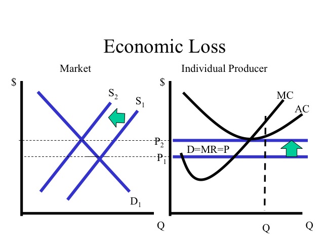 Economic Loss