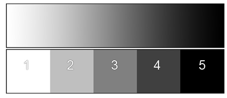 grayscale chart 5 step