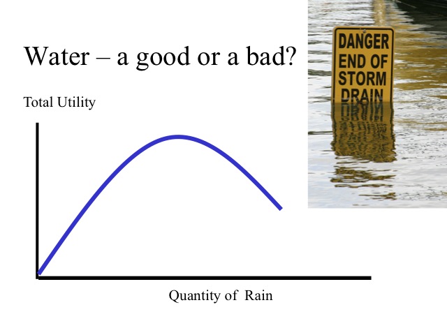 Marginal Utility