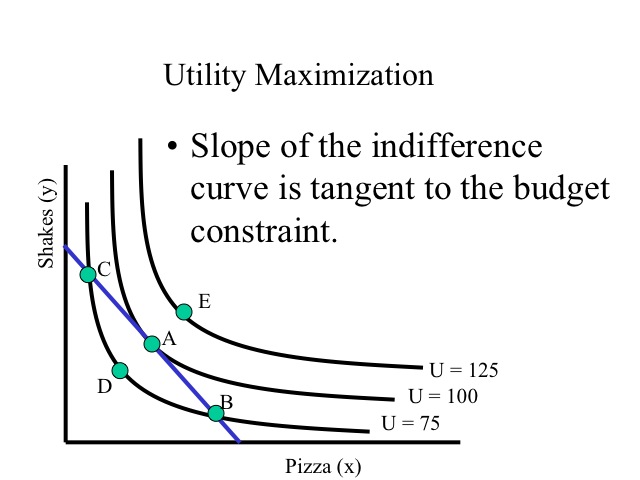 Utility Maximization