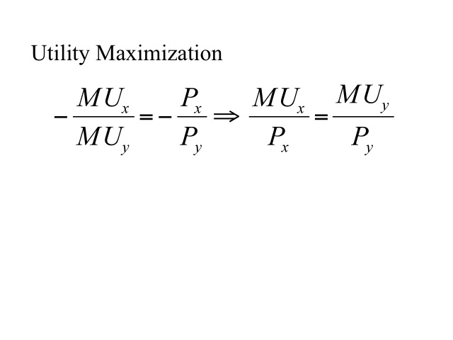 Utility Maximization