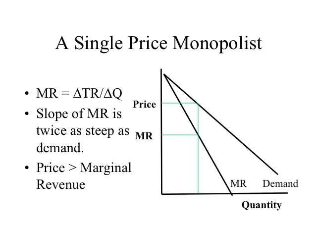 Single Price Monopolist