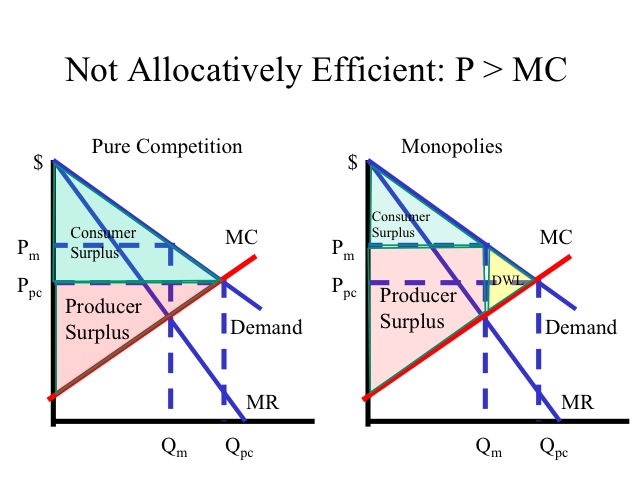 chapter 12 monopoly economics quizlet