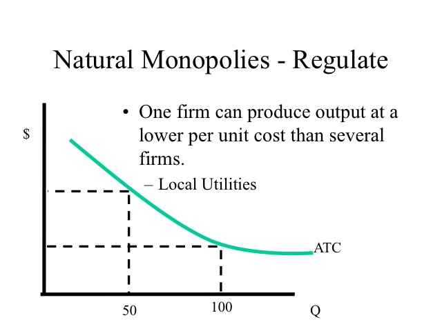 Natural Monopolies